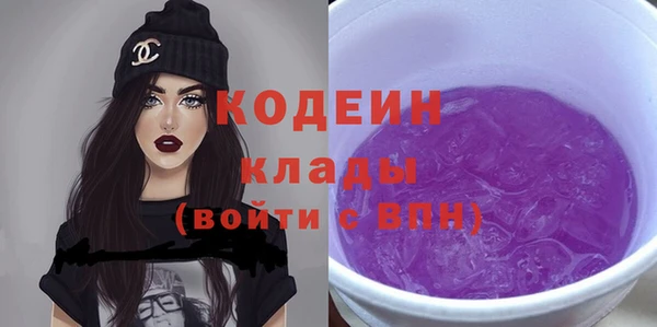 твердый Горняк