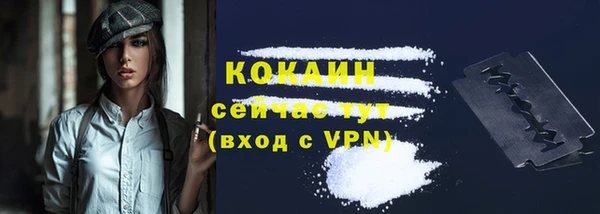 твердый Горняк