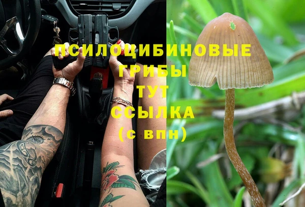 кокс Горнозаводск