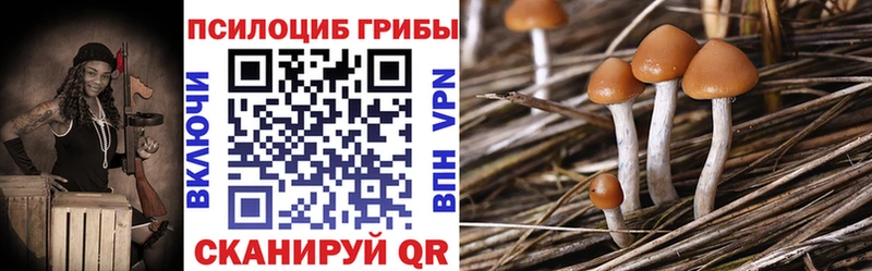 наркотики Армавир Псилоцибиновые грибы мухоморы