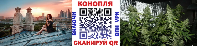 Бошки Шишки сатива  Армавир 